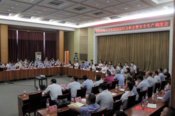 威廉体育官网网址组织召开上半年经济运行分析会暨安全工作调度会(图1)